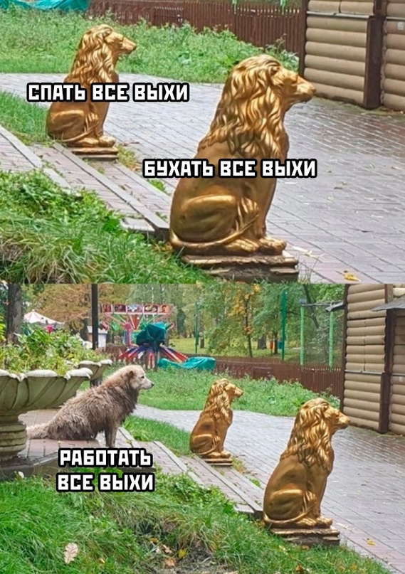Картинки и мемы для настроения - 133