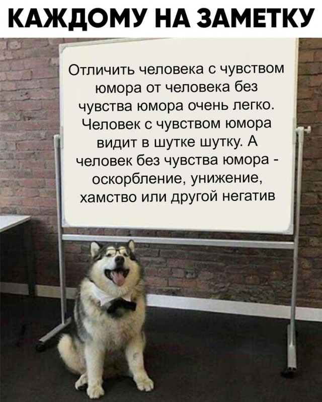 Картинки и мемы для настроения - 133