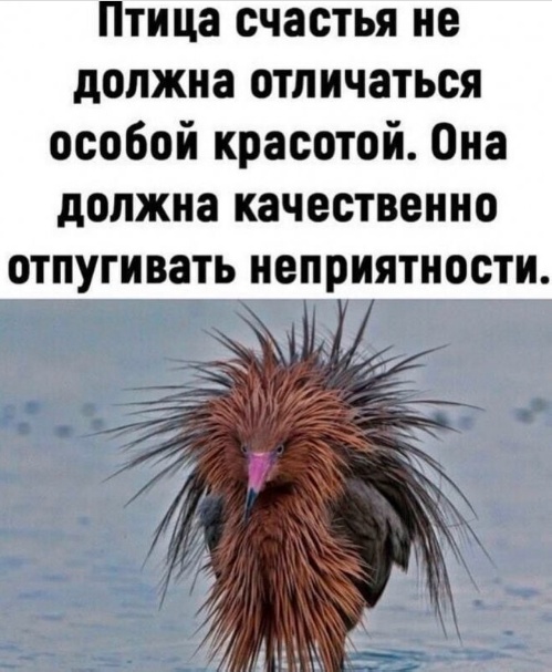 Так себе картинки 26.02.23