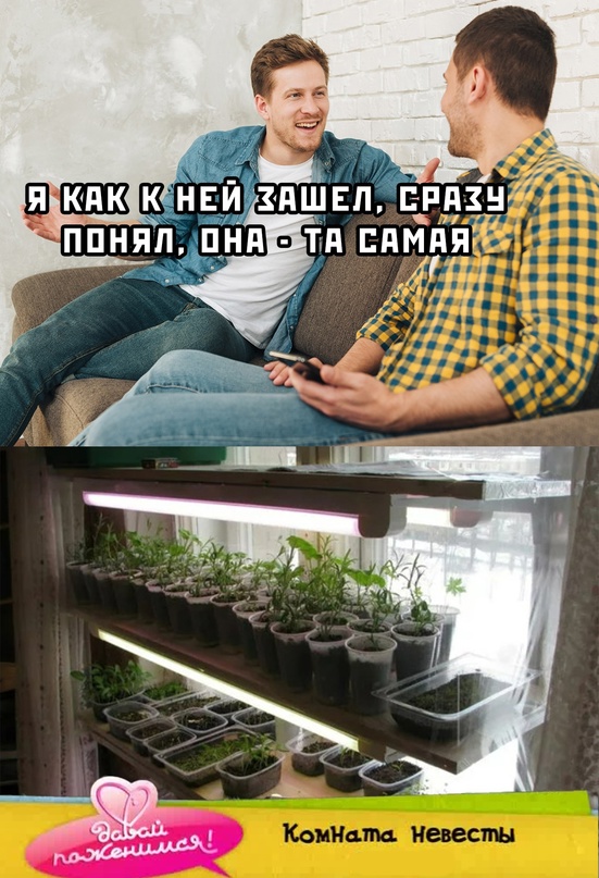 Немного картинок для настроения - 161