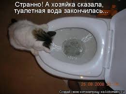 Признавайтесь, а сколько вы тратите на красоту?
