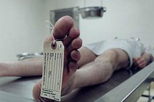 СтопХам 81 Это что за покемон?