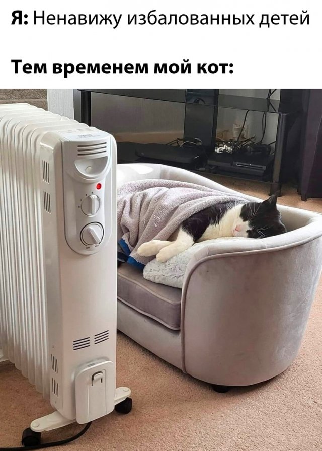 Весёлый полтишок 31.12.23
