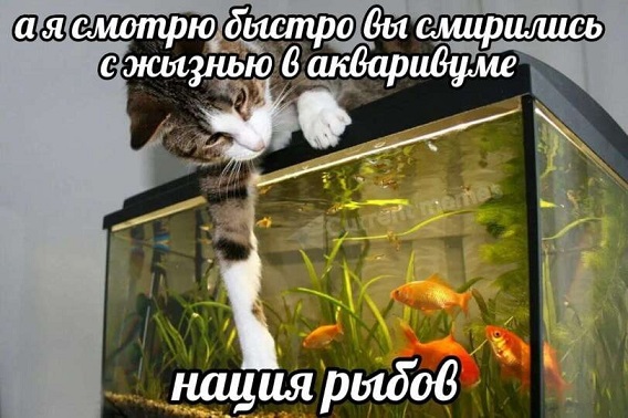 Новый президент Аргентины