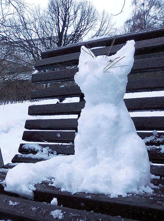 Котики из снега и котики на снегу