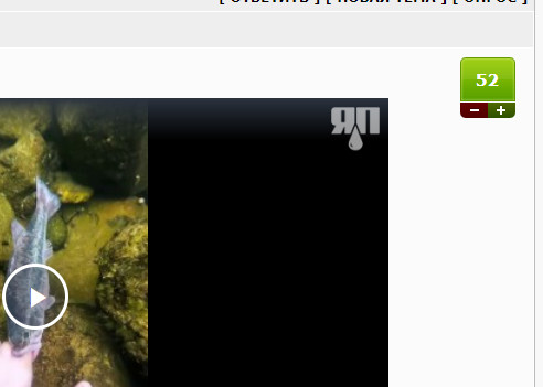 Ну что, клюет?!