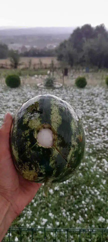 Ковид, Цифровая валюта и прочие радости
