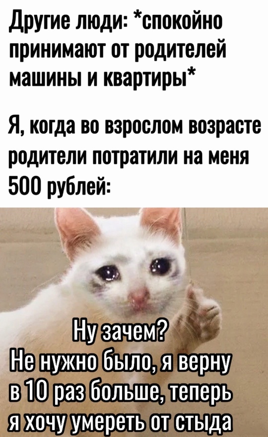 Весёлый полтишок 06.11.24