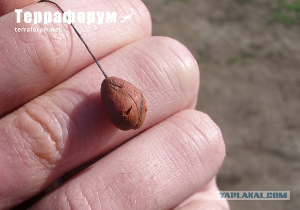 Как поржать на работе