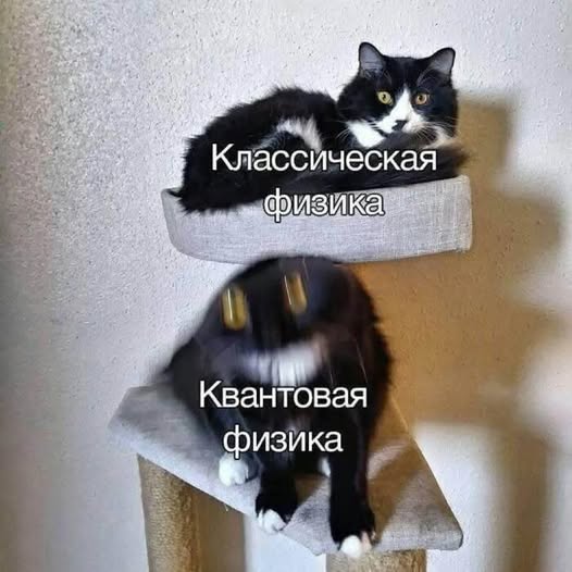 Картинки для деградации 56 (разной степени свежести)