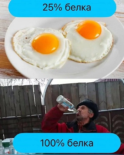 Мой кот