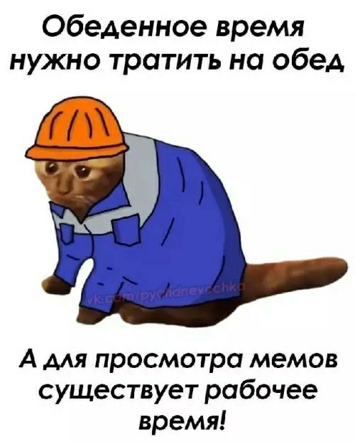 Так себе картинки 22.02.26