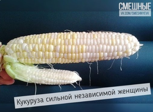 Картиночки, баянчики 30 апреля