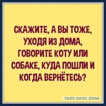 Картинки для деградации 252 (разной степени свежести)