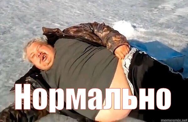 Слишком чистые миски