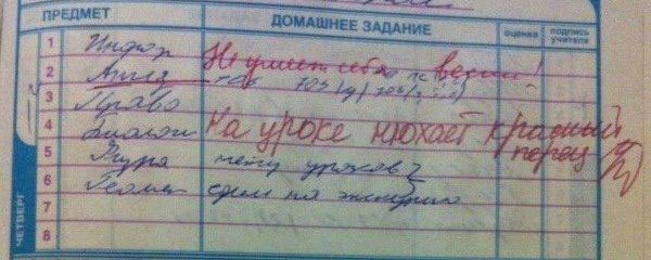 Записи в Дневниках
