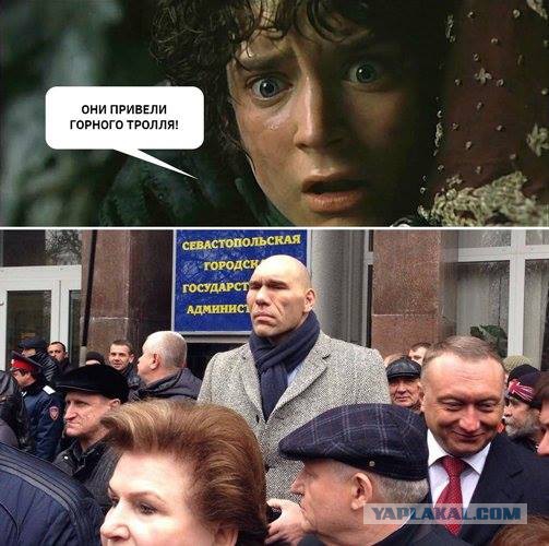 Фото дня