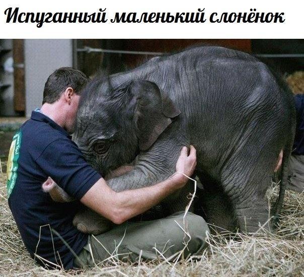 Позитивные картинки