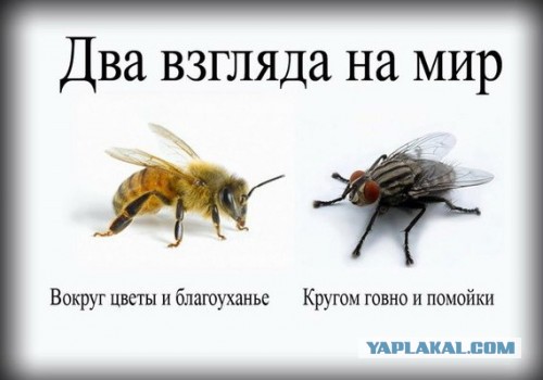 Женские страдания