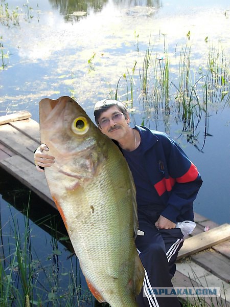 Мастера фотошопа
