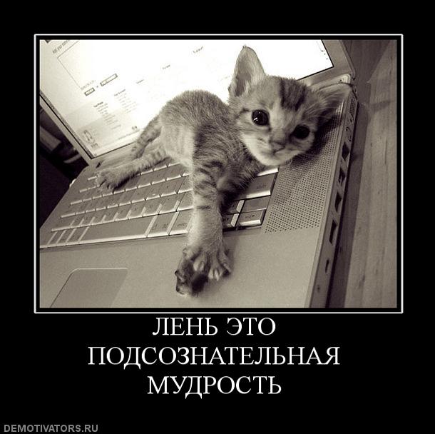 Вы хотите "демов"?