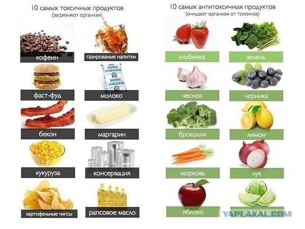 Производитель очнись