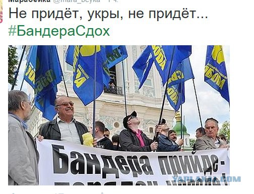 10 политических картинок часть 11