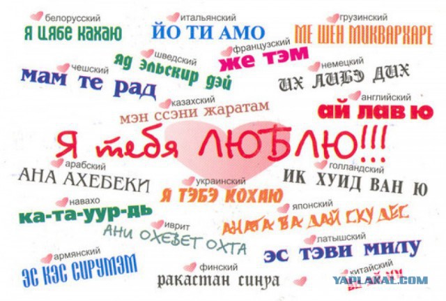 Влюбленные переспали со 100 партнерами за три года