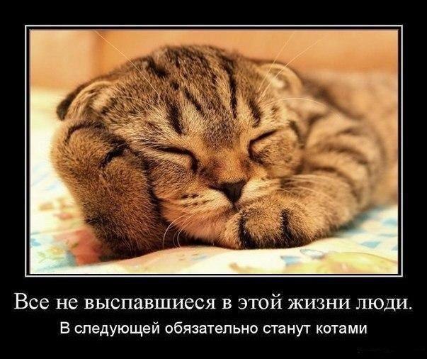 Картинки и демотиваторы