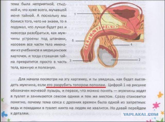 Картинки разные из сети