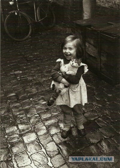 Картинки разные