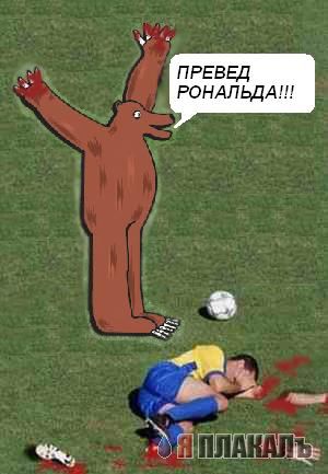 Превед медвед!