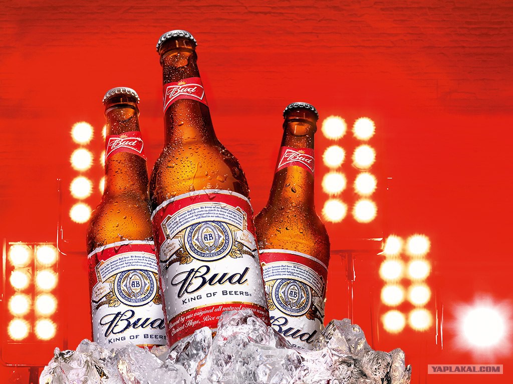 Купить пиво будем. Пиво Bud 0.75. Пиво Bud Budweiser. Пиво БАД King of Beers. Пиво Bud светлое.