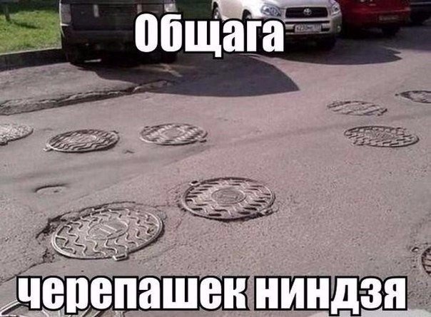 Подборка картинок