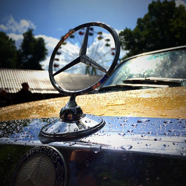 Подборка интересных и веселых картинок