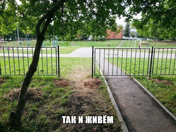 Смешные комментарии 12.06.2016