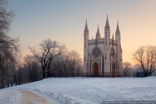 Разные фото. Прикольные и красивые