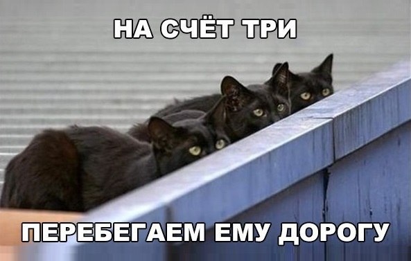 Порция картинок из сети.