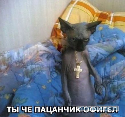 Ремонт в подъезде
