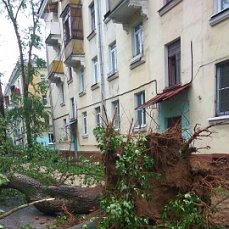 В Москве ураган!