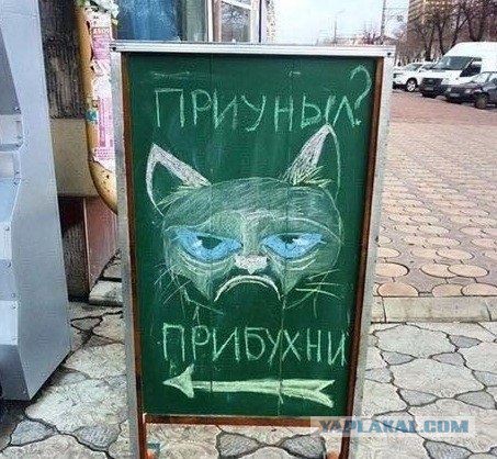 Прикольные картинки 12.06.2017