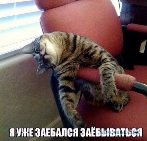 Немного деграданса - 7