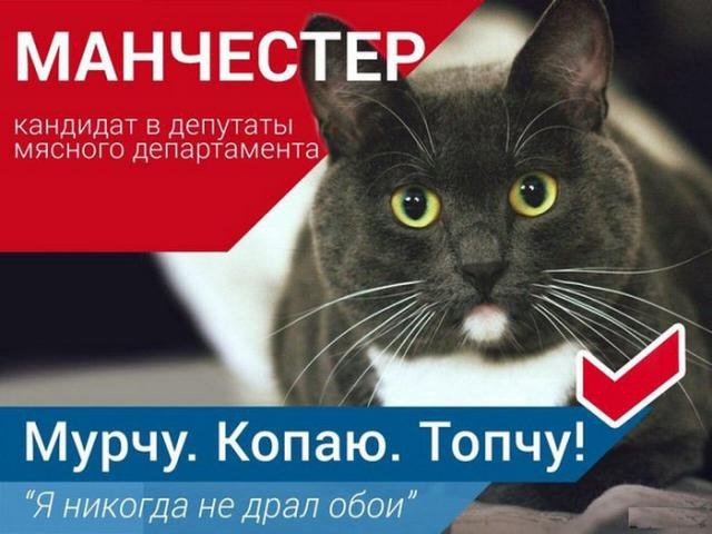 Устюжна - Родина....