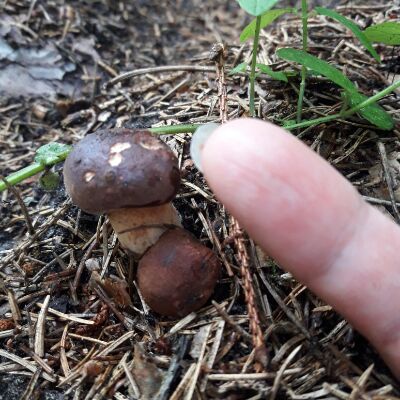 Хвастаюсь... Не могу удержаться