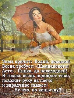 Подборка интересных и веселых картинок