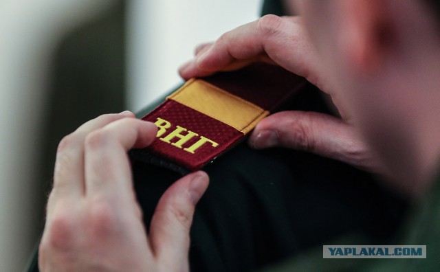 Хрустальные погоны для генералов или чем бы Росгвардия ни тешилась