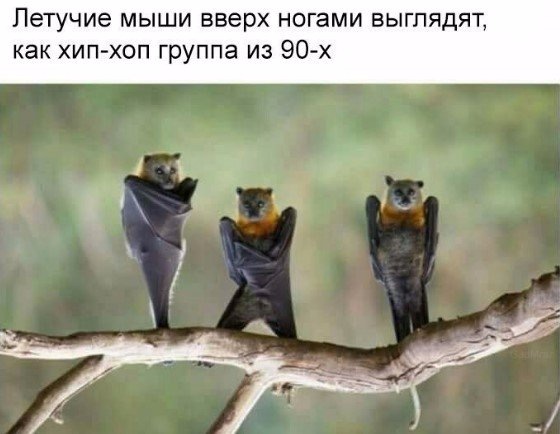 Вспомним былое. Прикольные баяны за 2017 год