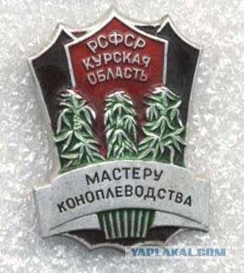 Штраф 40 000 рублей - за кулон в виде конопли.