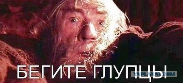 Восстание машин или гироскутер-убийца