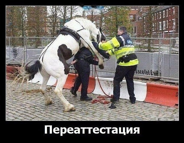 Деграграм на пятницу. Картинок пост